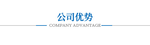 公司優勢